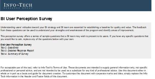 The image contains a screenshot of the BI User Perception Survey.
